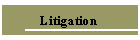 Carto / Liberty Lobby litigation